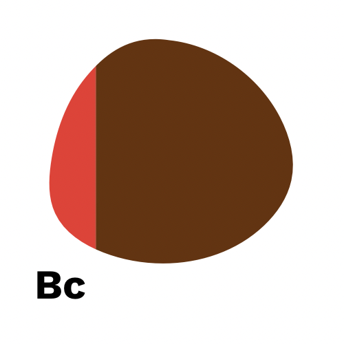 <MOST POPULAR BLEND!> Bc - Bonnie & Clyde Espresso Blend