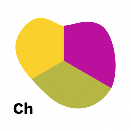 Ch - Colombia Monteverde Estate La Primavera Geisha Yeast Honey