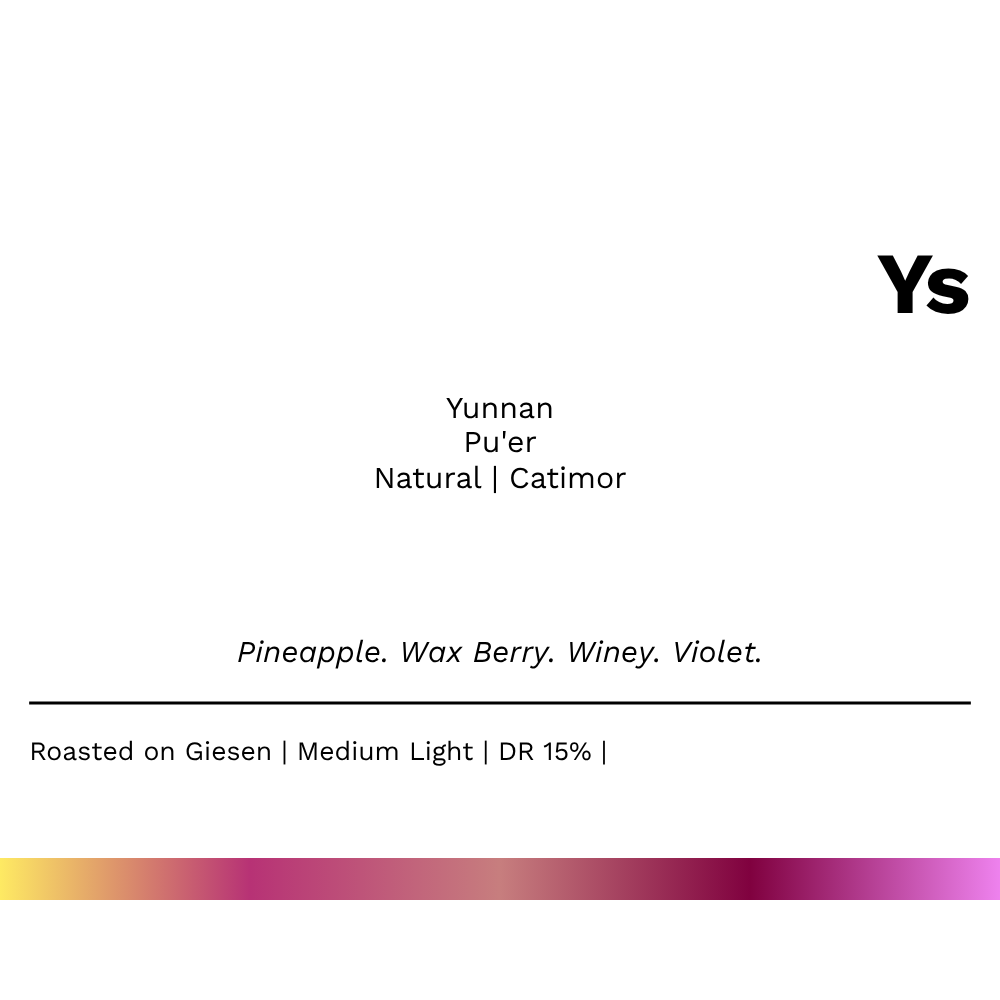 New! Ys - Yunnan Pu'er Natural (SOE)