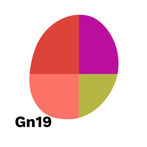 GN19 - Abu Geisha Natural Double Phase Anaerobic