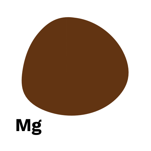 Mg - 印尼加約曼特寧 G1 三重精選Wet Hulling日式深度烘焙