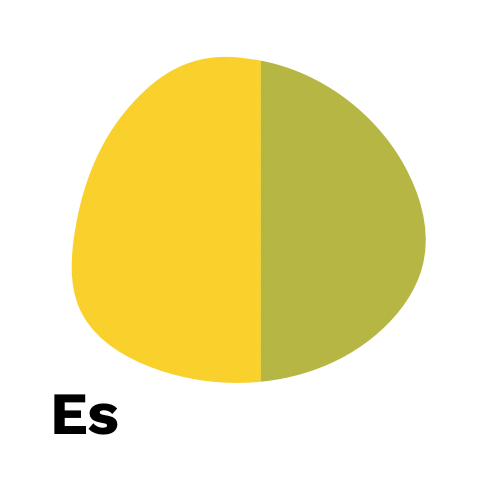 Es - Ethiopia Yigacheffee Adame Mulugeta Tsige Beraso G1 Washed