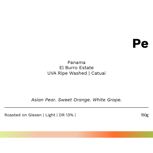 NEW! Pe - Panama El Burro Estate Catuai UVA Ripe Washed