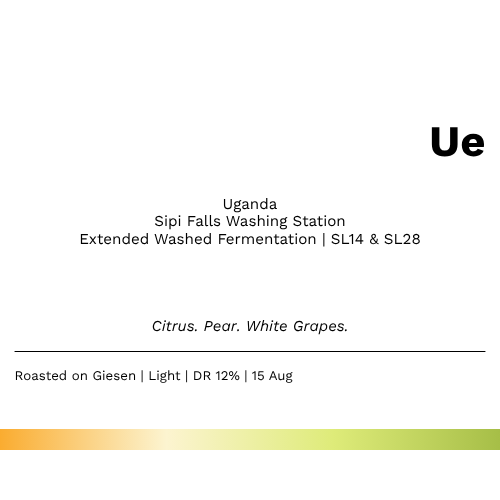 NEW!!! Ue - Uganda Arabica Sipi Falls Extended Washed Fermentation