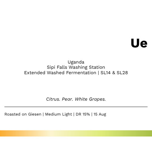 NEW!!! Ue - Uganda Arabica Sipi Falls Extended Washed Fermentation SOE