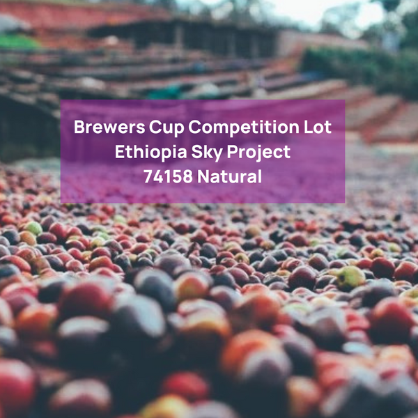 <Break even deal> Ex - Competition Sky Project Ethiopia 74158